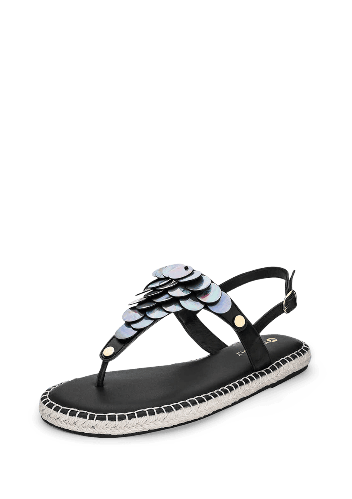 Shiny Plate - Black