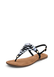 Shiny Plate - Comfort Black