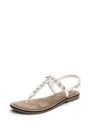 Coastal Star - Comfort Crema