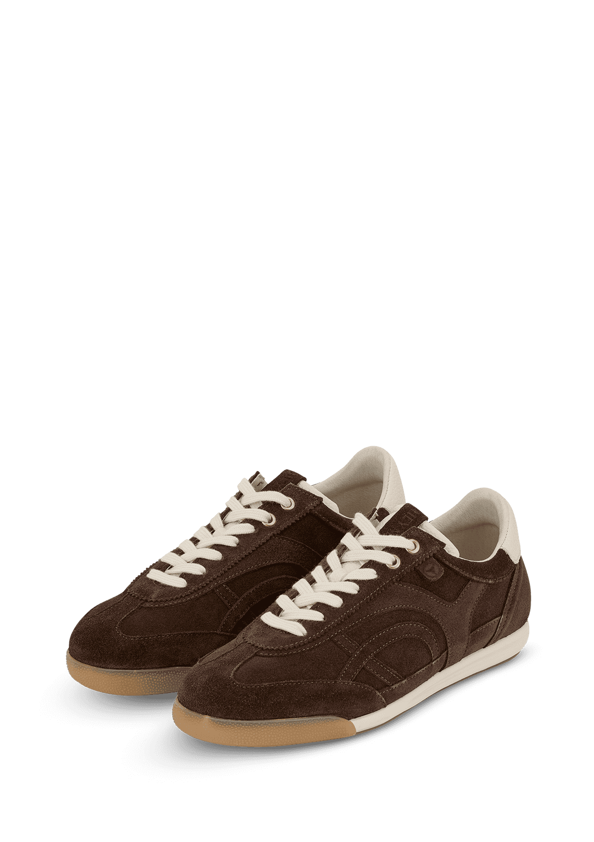 Daily Fit - Coffee