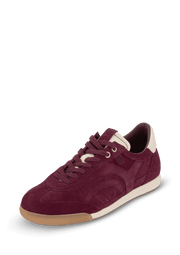 Daily Fit - Berry