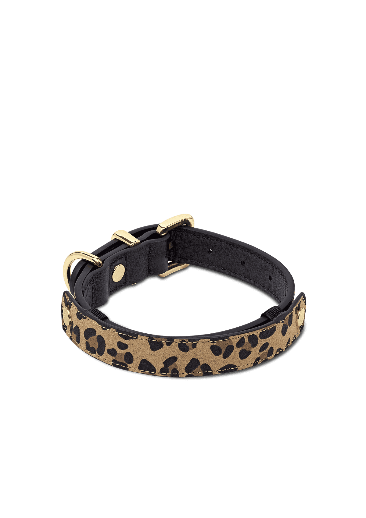 Animal Print - Classic Dog Collar S-M