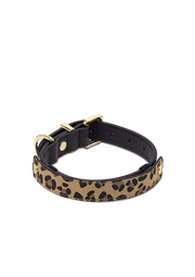 Animal Print - Classic Dog Collar S-M
