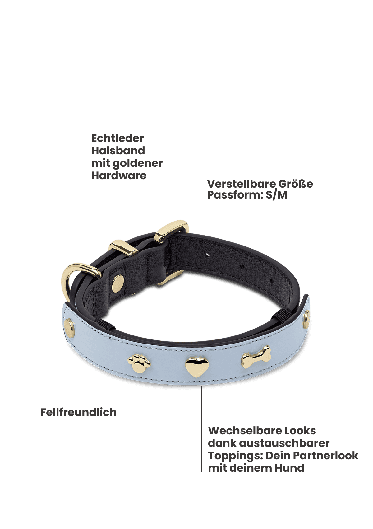 City Gloss - Classic Dog Collar S-M
