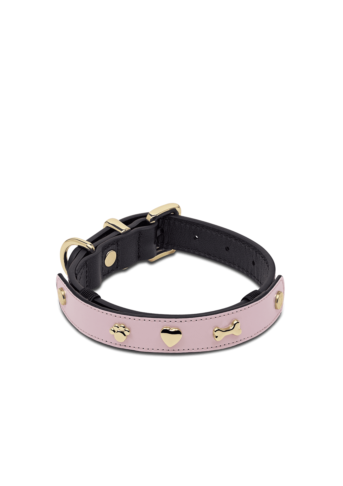 City Gloss - Classic Dog Collar S-M