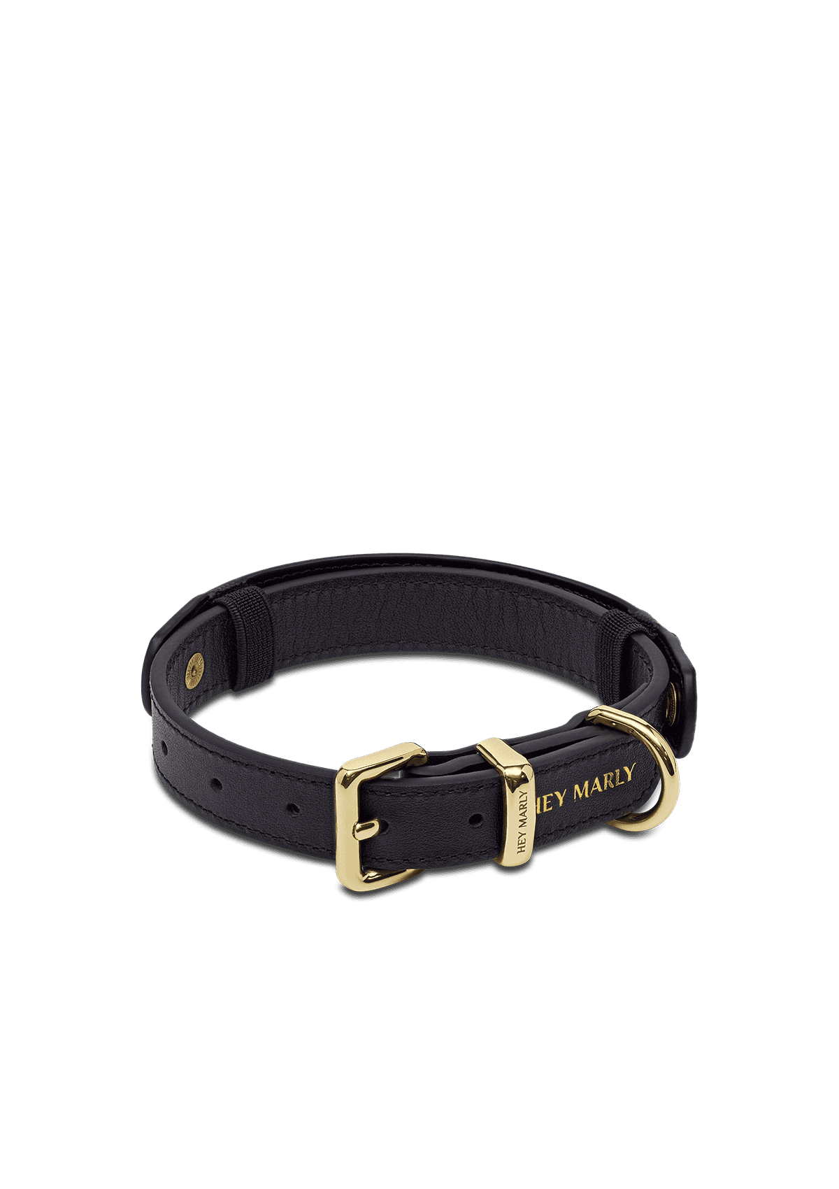 City Gloss - Classic Dog Collar S-M
