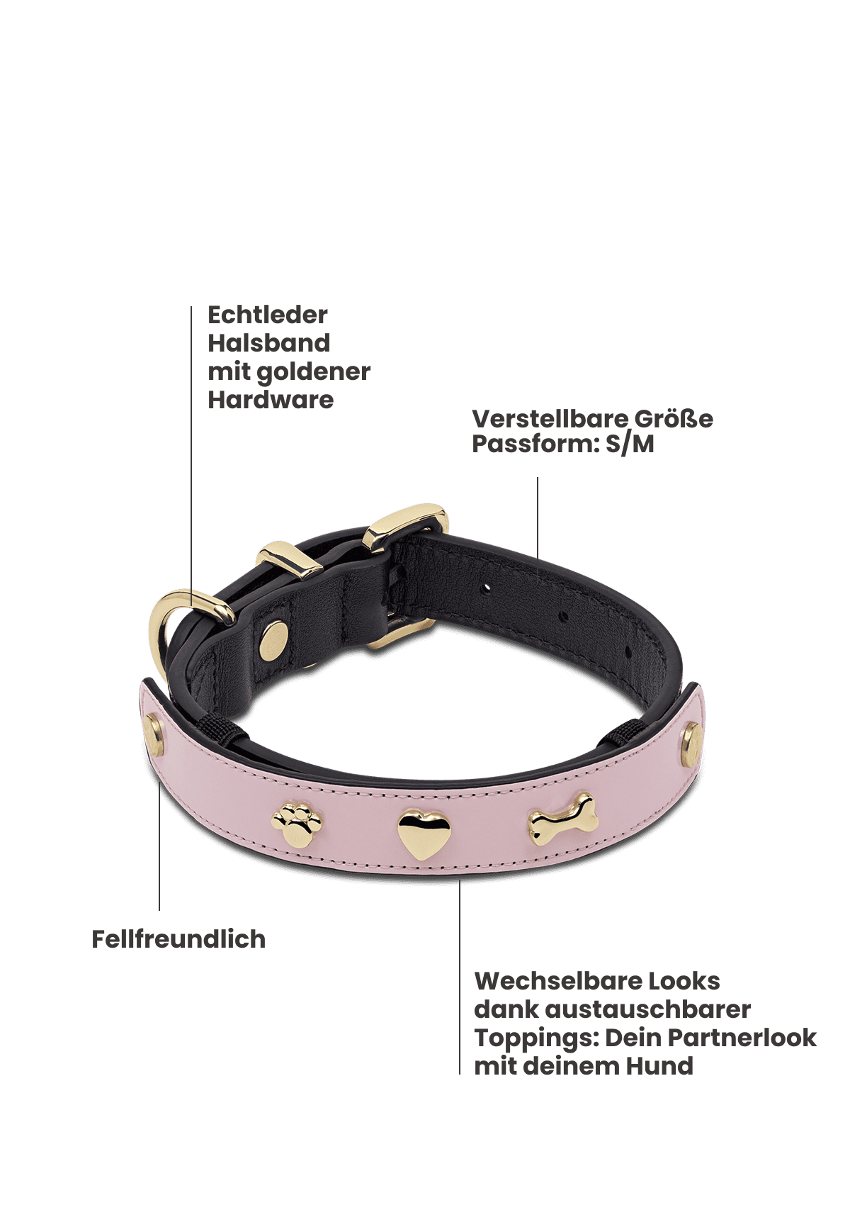 City Gloss - Classic Dog Collar S-M