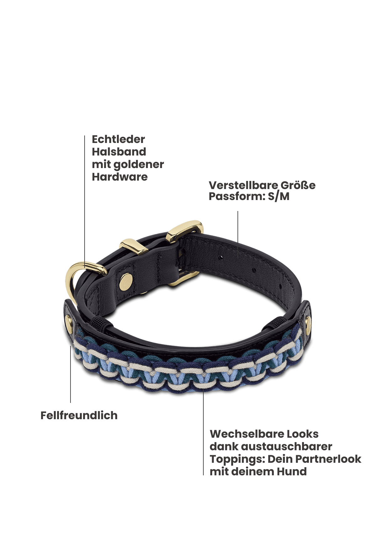Nautic Vibes - Classic Dog Collar S-M