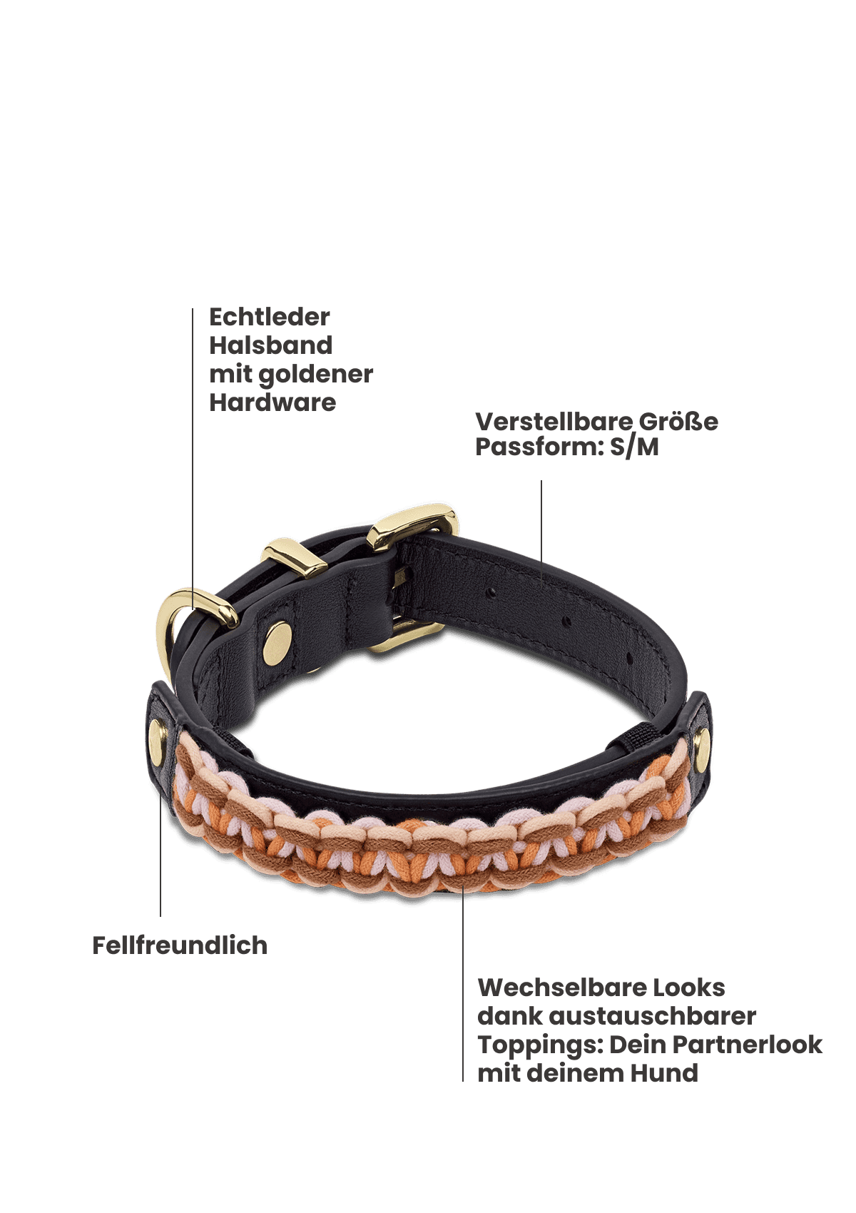 Nautic Vibes - Classic Dog Collar S-M