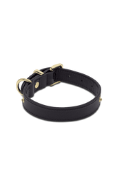 Classic Dog Collar S-M - Black