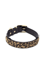 Animal Print - Classic Dog Collar L