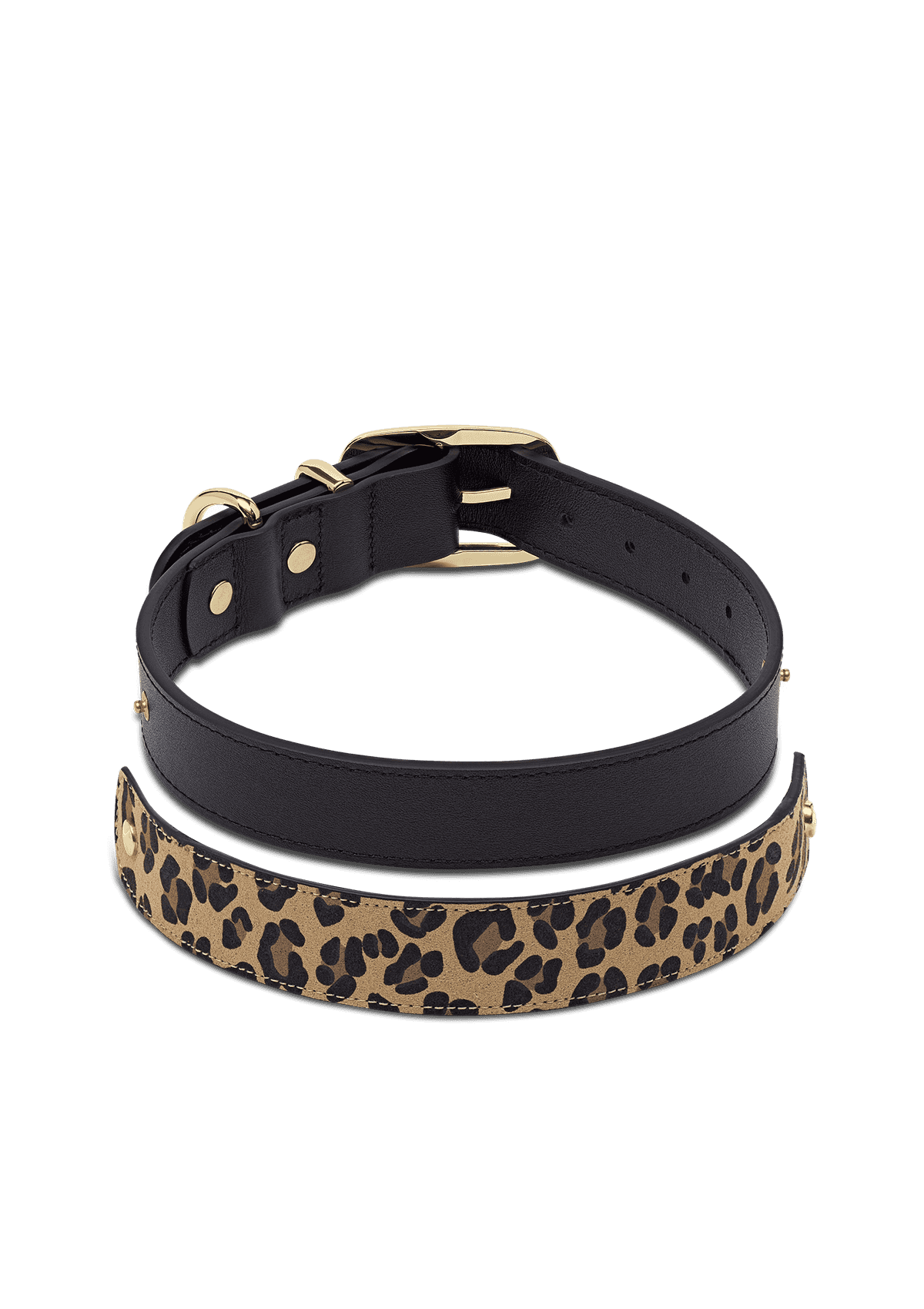 Animal Print - Classic Dog Collar L