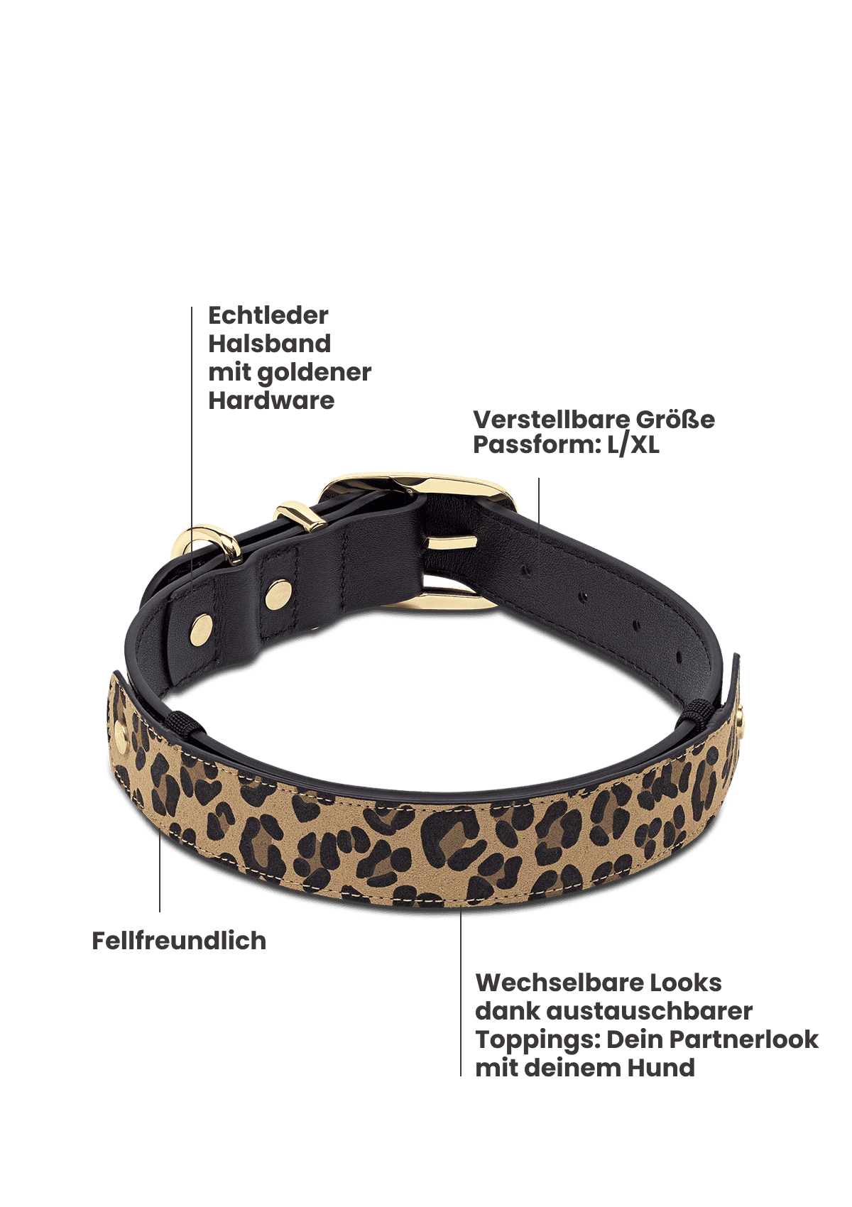 Animal Print - Classic Dog Collar L