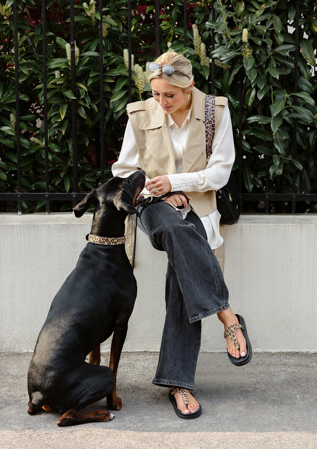 Animal Print - Classic Dog Collar L
