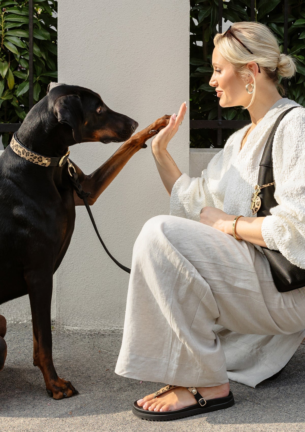 Animal Print - Classic Dog Collar L
