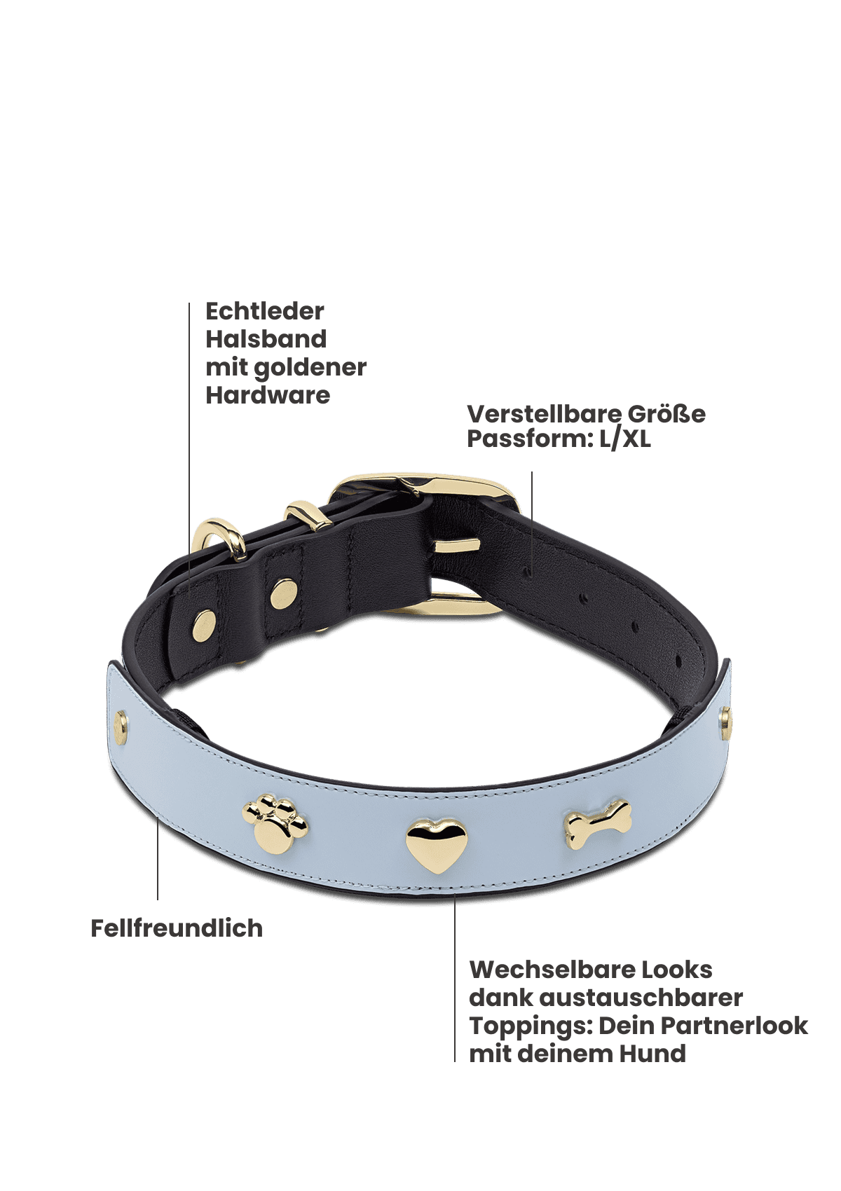 City Gloss - Classic Dog Collar L