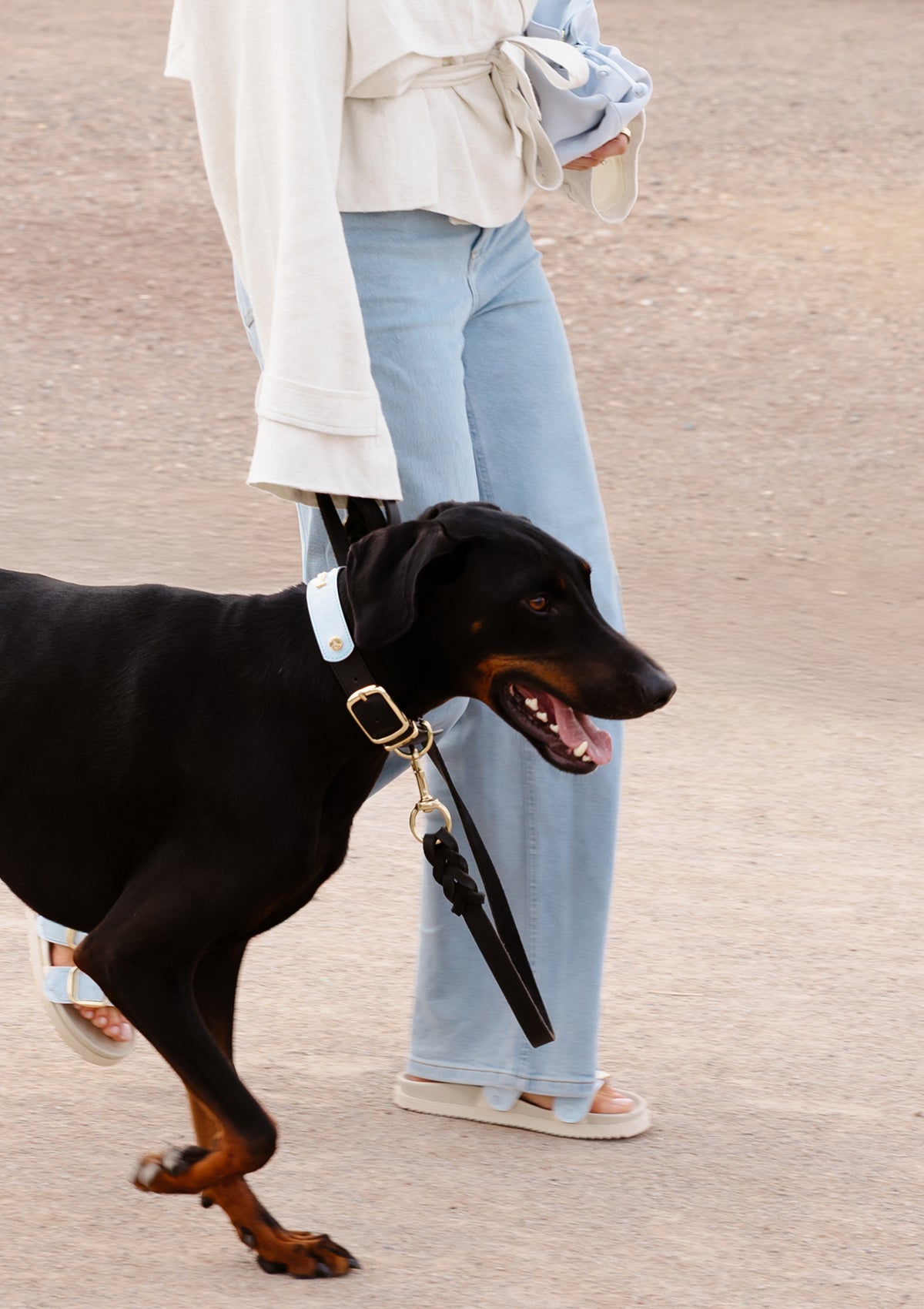 City Gloss - Classic Dog Collar L