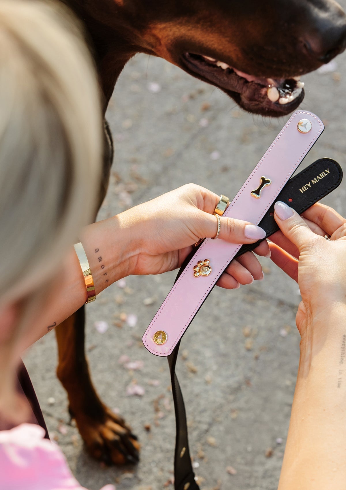 City Gloss - Classic Dog Collar L