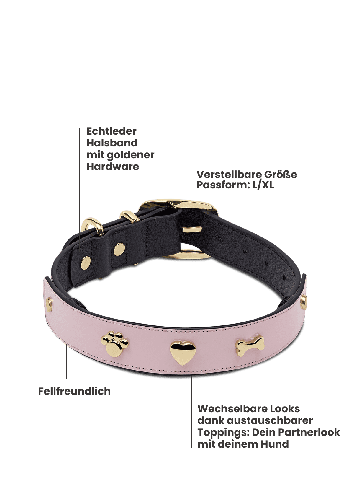 City Gloss - Classic Dog Collar L