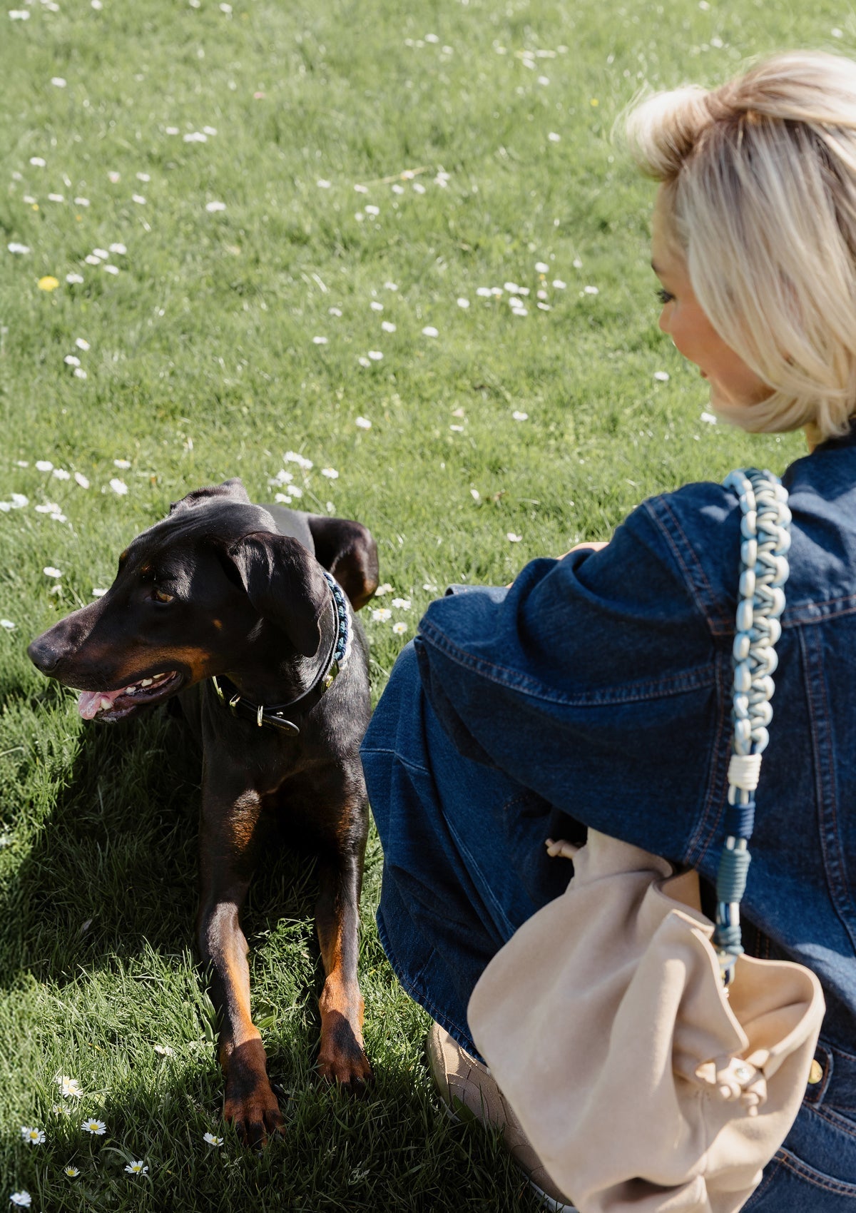 Nautic Vibes - Classic Dog Collar L