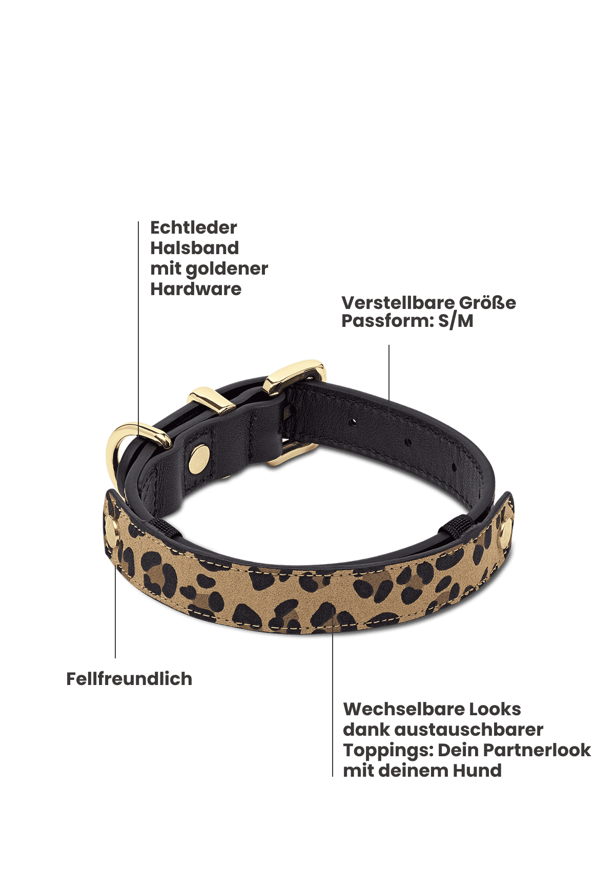 Animal Print - Classic Dog Collar S-M