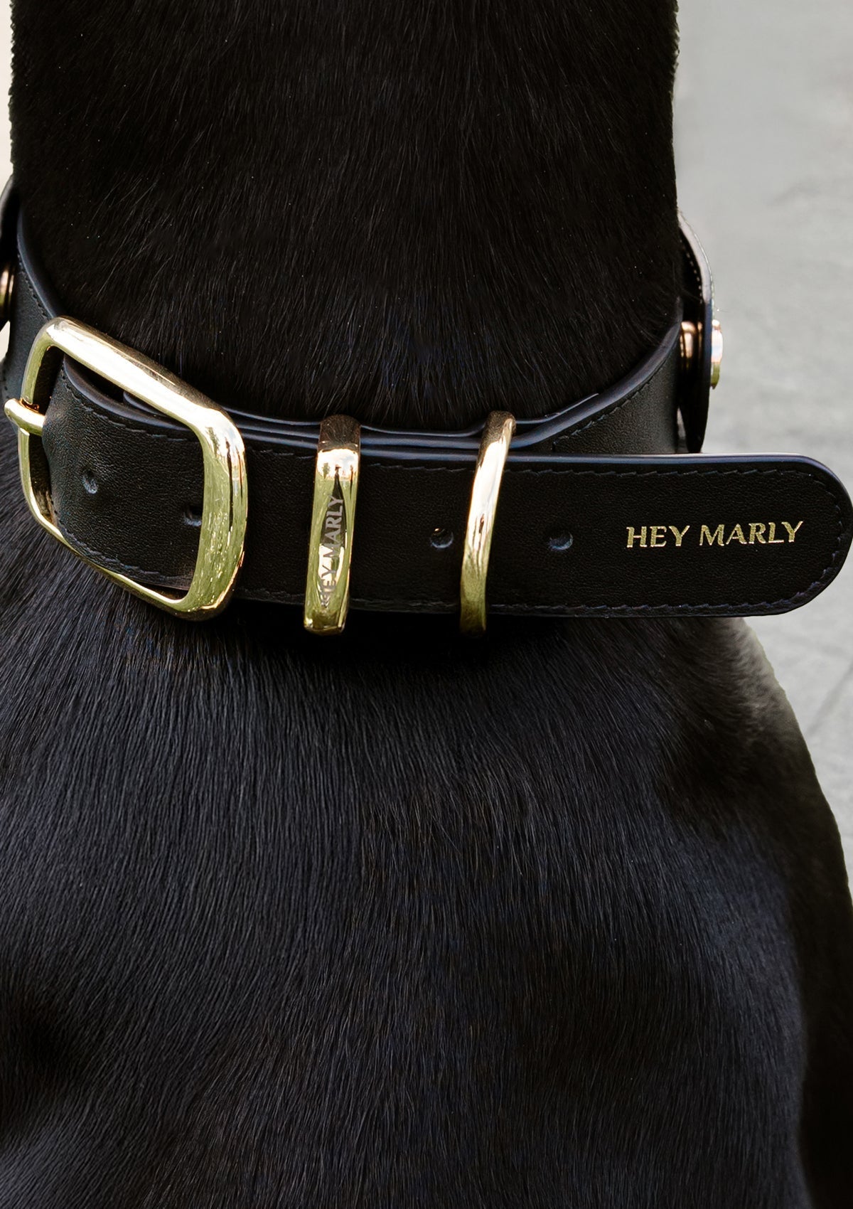 Classic Dog Collar L - Black
