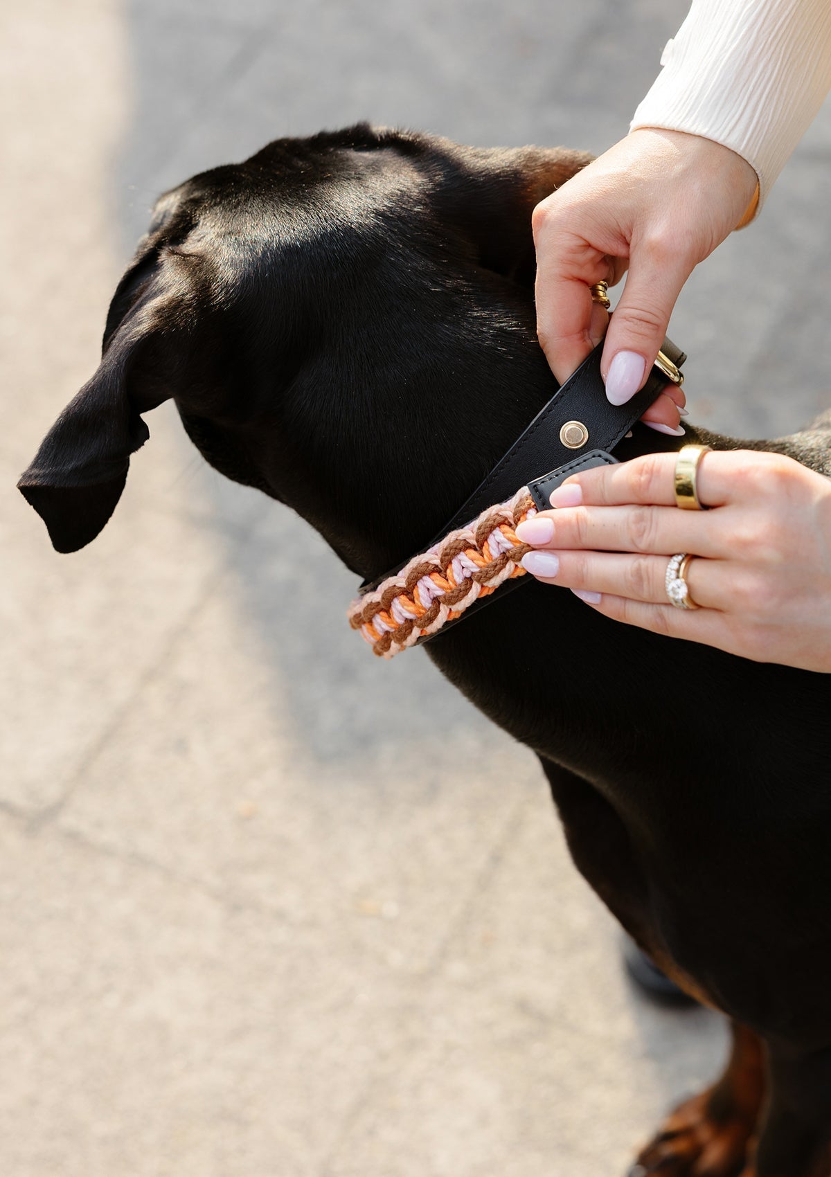 Dog Topping Nautic Vibes L - Orange